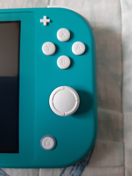 Nintendo Switchライト（ゲーム機本体・ゲームソフト）の商品画像 - 査定依頼日：2020年6月24日 - 最高査定価格：20,000円