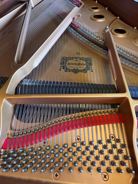 C3AE6004374（ピアノ・楽器・PA機材）の商品画像 - 査定依頼日：2025年11月29日 - 最高査定価格：3,000円