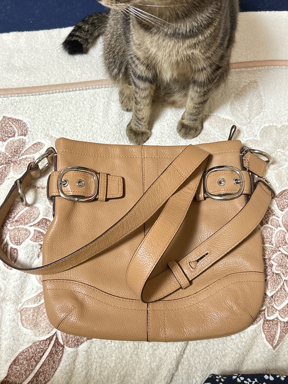 不明（ブランドバッグ）の商品画像 - 査定依頼日：2025年7月29日 - 最高査定価格：2,000円