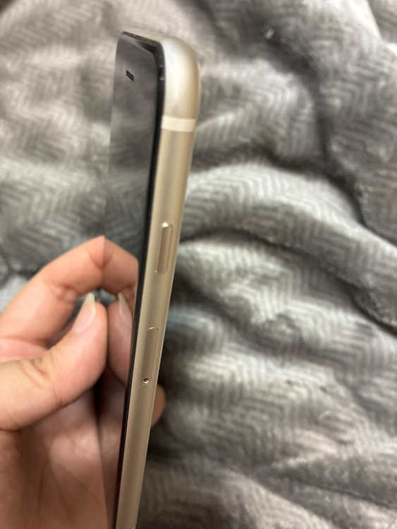 iPhone iPhone SE (第 3 世代) 256GB SIMフリー（スマホ）の商品画像 - 査定依頼日：2026年7月20日 - 最高査定価格：30,000円