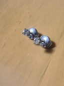 ティファニーピアス（金・貴金属）の商品画像 - 査定依頼日：2025年8月31日 - 最高査定価格：100,000円