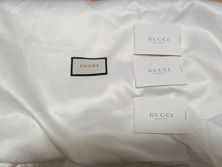 グッチバックパック（ブランドバッグ）の商品画像 - 査定依頼日：2025年8月2日 - 最高査定価格：110,000円