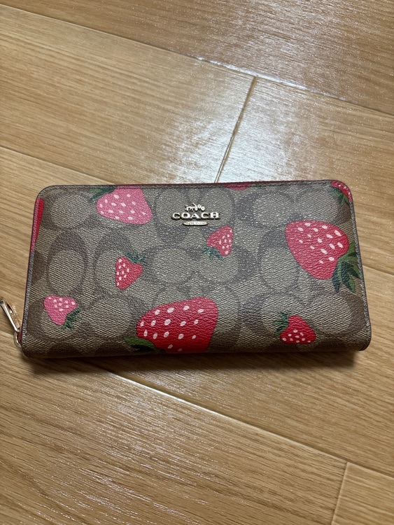 その他 コーチ （ブランドバッグ）の商品画像 - 査定依頼日：2025年8月2日 - 最高査定価格：9,000円