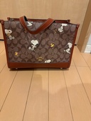 その他 コーチ （ブランドバッグ）の商品画像 - 査定依頼日：2026年3月20日 - 最高査定価格：5,000円