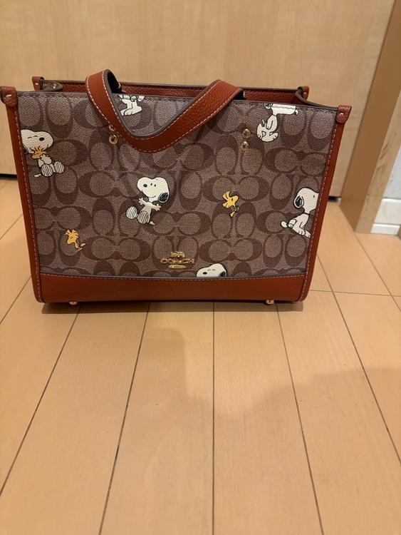 その他 コーチ （ブランドバッグ）の商品画像 - 査定依頼日：2026年3月20日 - 最高査定価格：5,000円