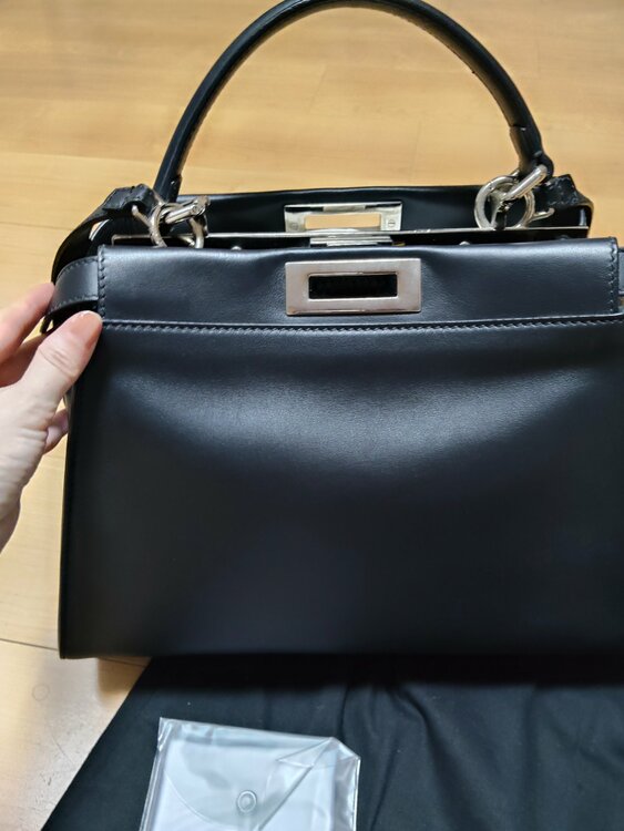 PEEKABOO REGULAR VIT．SETA/PITONE LUC.INT（ブランドバッグ）の商品画像 - 査定依頼日：2026年10月1日 - 最高査定価格：200,000円