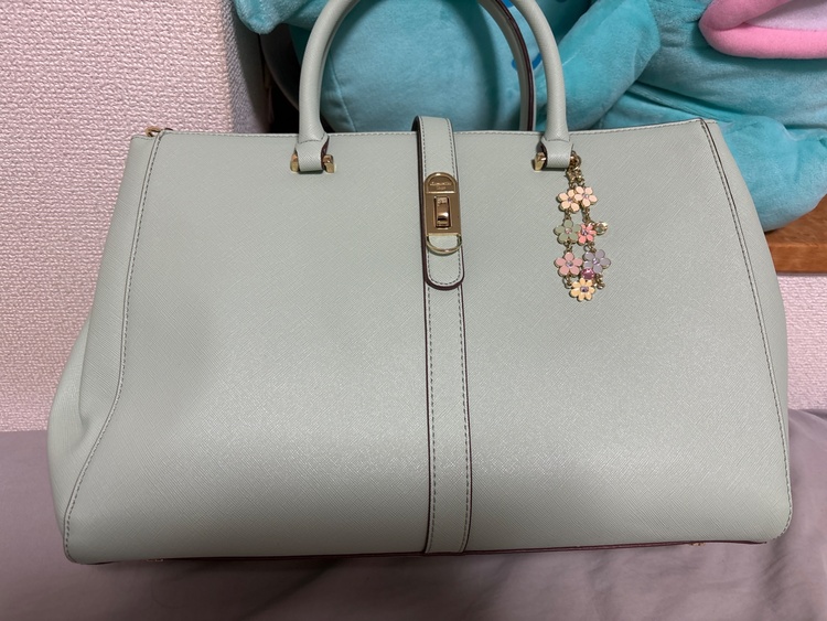 カバン（ブランドバッグ）の商品画像 - 査定依頼日：2026年4月9日 - 最高査定価格：100,000円