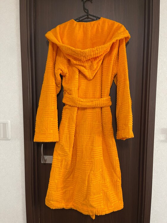 ボッテガ・ヴェネタ  （ブランドバッグ）の商品画像 - 査定依頼日：2025年2月1日 - 最高査定価格：3,000円