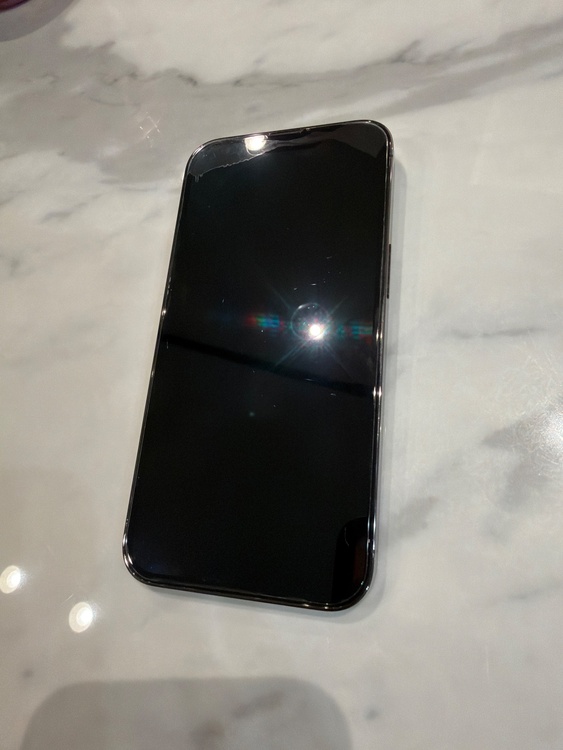 iPhone 13 Pro 256GB SIMフリー（スマホ）の商品画像 - 査定依頼日：2026年1月25日 - 最高査定価格：49,000円