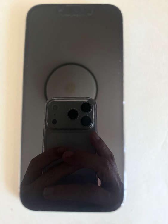 iPhone iPhone 13 Pro Max 256GB docomo（スマホ）の商品画像 - 査定依頼日：2026年7月19日 - 最高査定価格：62,000円