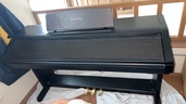 PW800（ピアノ・楽器・PA機材）の商品画像 - 査定依頼日：2025年12月29日 - 最高査定価格：3,000円