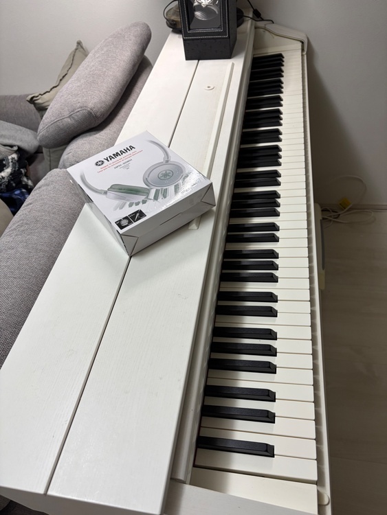 CASIO AP 460（ピアノ・楽器・PA機材）の商品画像 - 査定依頼日：2026年2月11日 - 最高査定価格：5,000円