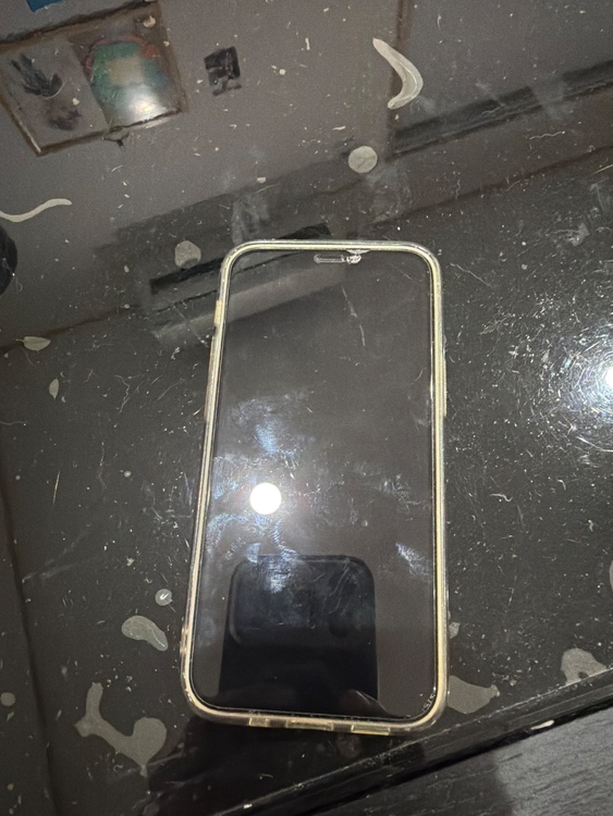 iPhone iPhone 12 mini 256GB docomo（スマホ）の商品画像 - 査定依頼日：2026年6月28日 - 最高査定価格：23,000円