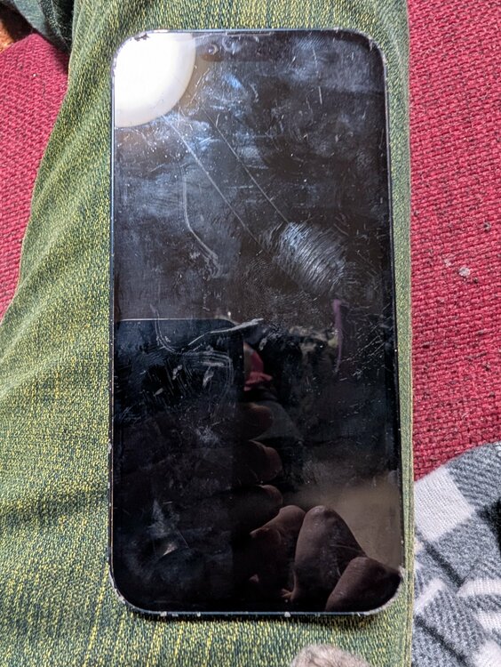 iPhone 14 256GB Softbank（スマホ）の商品画像 - 査定依頼日：2026年2月6日 - 最高査定価格：53,000円