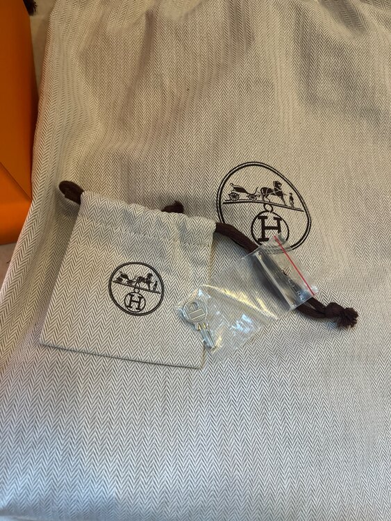 ピコタンpm（ブランドバッグ）の商品画像 - 査定依頼日：2025年3月5日 - 最高査定価格：500,000円