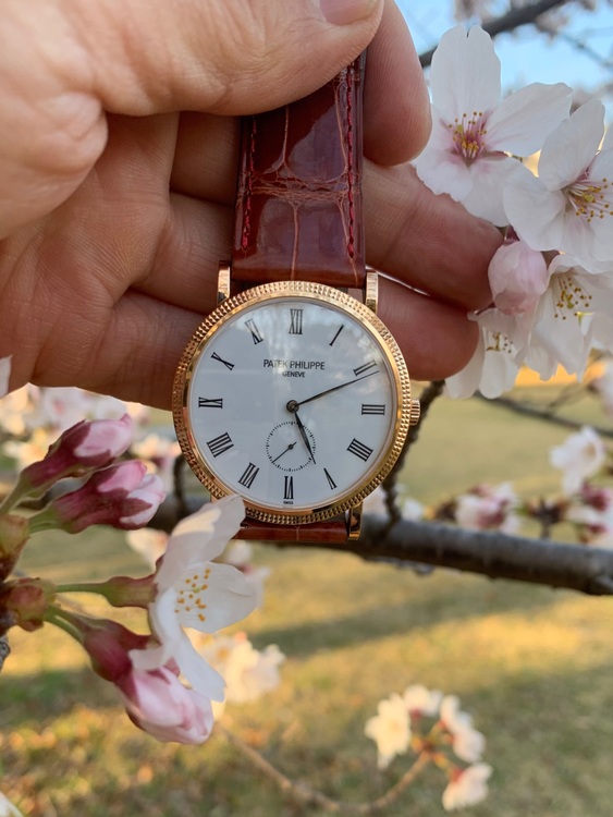 パテックフィリップ カラトラバ 5119R-00（高級時計）の商品画像 - 査定依頼日：2025年10月18日 - 最高査定価格：2,300,000円