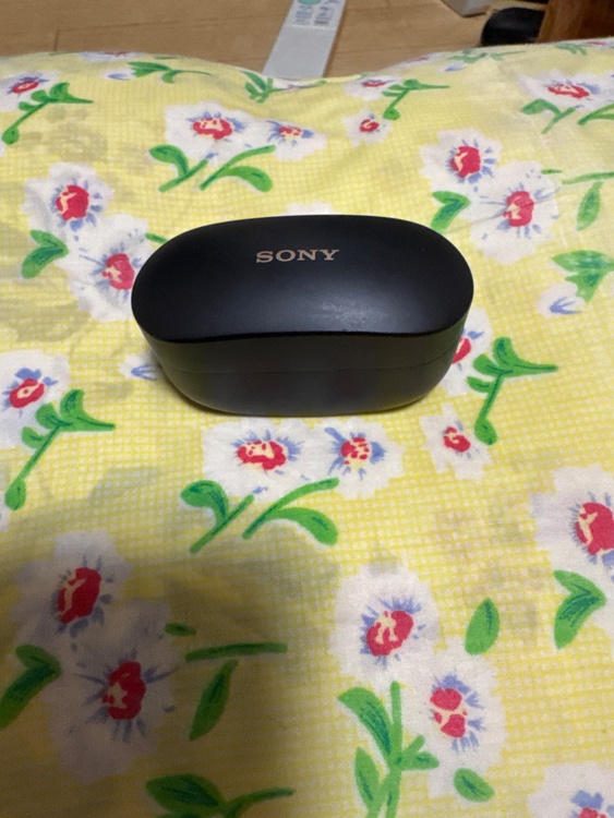 sony wf-1000xm4（オーディオ・スピーカー）の商品画像 - 査定依頼日：2026年4月5日 - 最高査定価格：100,000円