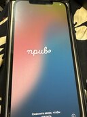 iPhone 12 Pro Max 128GB au（スマホ）の商品画像 - 査定依頼日：2024年12月11日 - 最高査定価格：53,000円