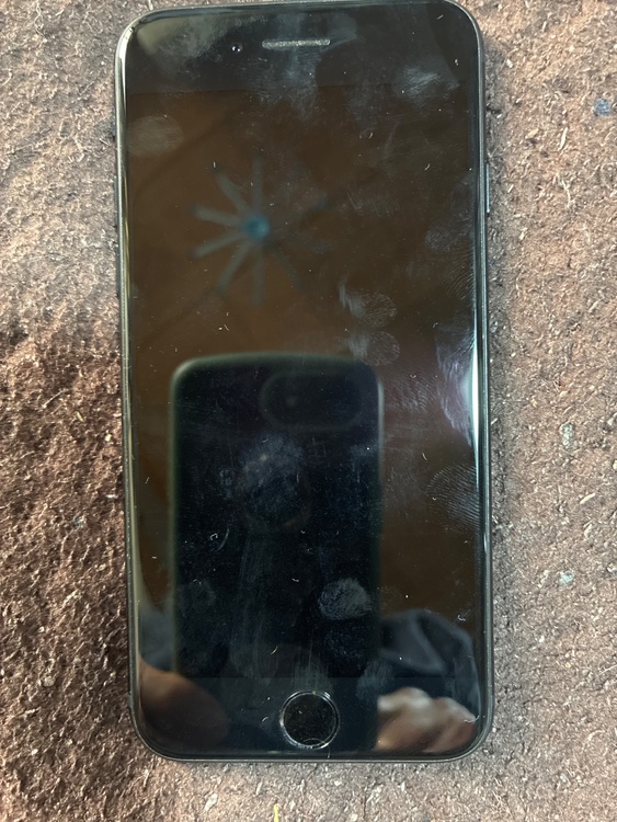 iPhone SE (第 3 世代) 64GB 楽天モバイル（スマホ）の商品画像 - 査定依頼日：2026年3月31日 - 最高査定価格：18,000円