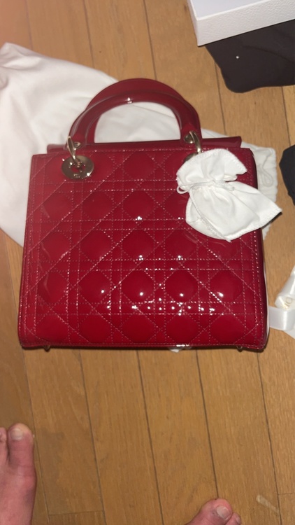 レディディオール（ブランドバッグ）の商品画像 - 査定依頼日：2026年3月21日 - 最高査定価格：280,000円