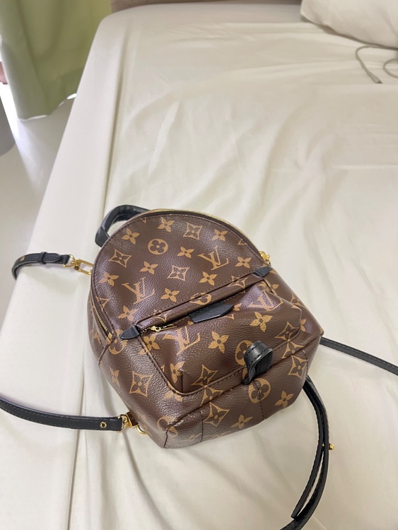 ルイヴィトン モノグラム （ブランドバッグ）の商品画像 - 査定依頼日：2025年6月24日 - 最高査定価格：100,000円