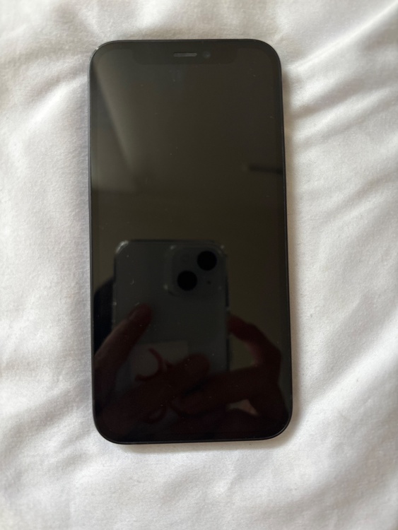 iPhone iPhone 12 mini 256GB SIMフリー（スマホ）の商品画像 - 査定依頼日：2026年8月13日 - 最高査定価格：21,500円