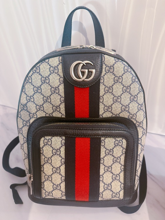 オフィディア スモール バックパック（ブランドバッグ）の商品画像 - 査定依頼日：2025年8月1日 - 最高査定価格：98,000円