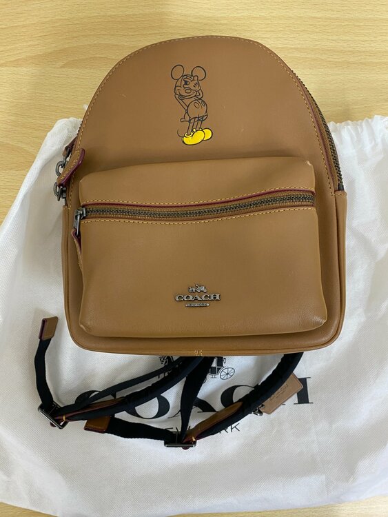 リュック（ブランドバッグ）の商品画像 - 査定依頼日：2026年4月11日 - 最高査定価格：7,000円