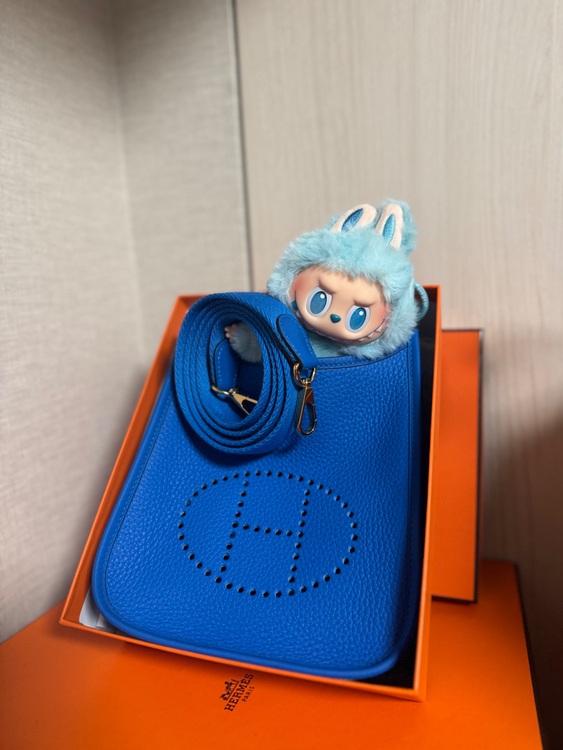 エブリンTPM（ブランドバッグ）の商品画像 - 査定依頼日：2025年11月27日 - 最高査定価格：330,000円