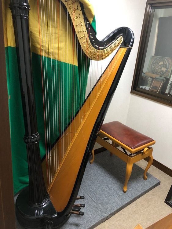 サルヴィハープ  ■機種名 Salvi DIANANA Ebony （ピアノ・楽器・PA機材）の商品画像 - 査定依頼日：2026年5月6日 - 最高査定価格：20,000円