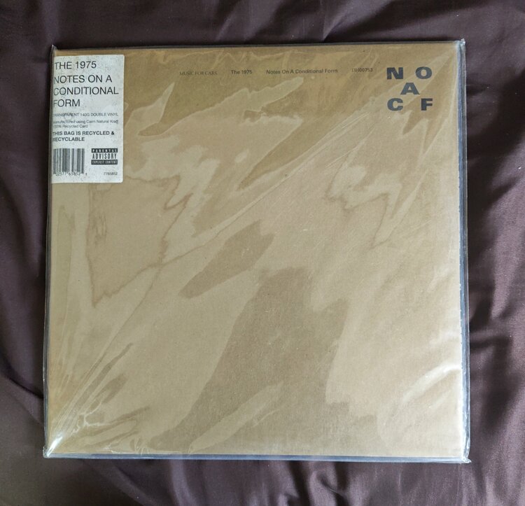 THE1975 NOTES ON A CONDITIONAL FORM（レコード）の商品画像 - 査定依頼日：2026年4月16日 - 最高査定価格：1,000円