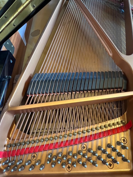 C3AE6004374（ピアノ・楽器・PA機材）の商品画像 - 査定依頼日：2025年11月29日 - 最高査定価格：3,000円