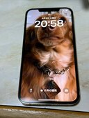 iPhone 12 Pro Max 128GB SIMフリー（スマホ）の商品画像 - 査定依頼日：2024年6月8日 - 最高査定価格：51,000円