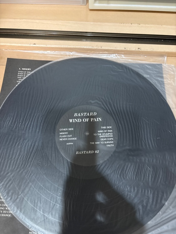 bastard wind of pain（レコード）の商品画像 - 査定依頼日：2026年4月26日