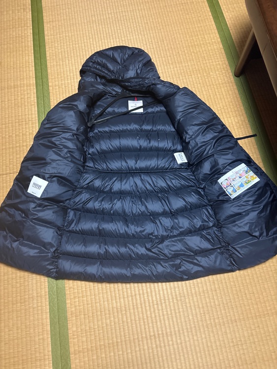 ダウン（古着・ファッション）の商品画像 - 査定依頼日：2025年11月25日 - 最高査定価格：100,000円