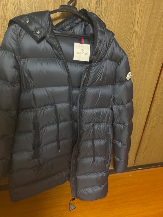 ダウン（古着・ファッション）の商品画像 - 査定依頼日：2025年11月25日 - 最高査定価格：100,000円