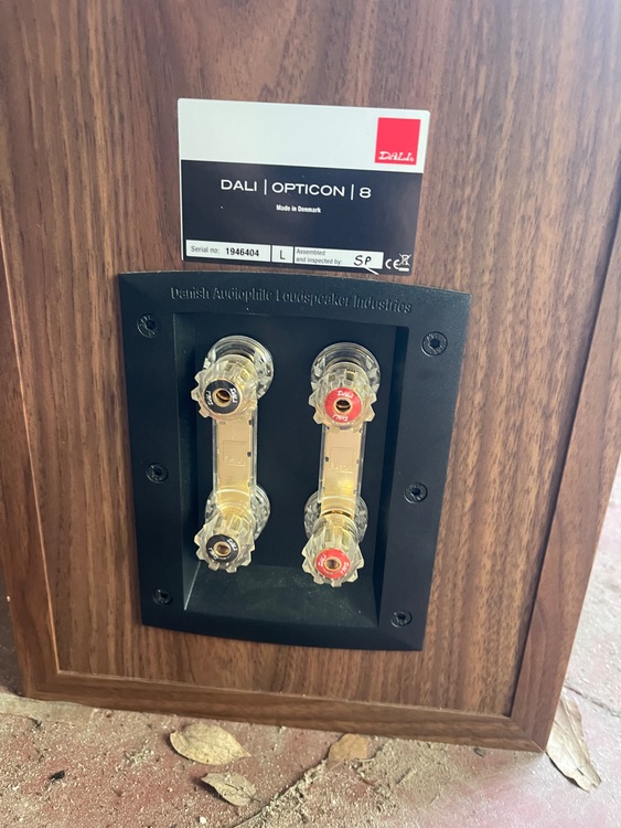 ダリ　OPTICOM8（オーディオ・スピーカー）の商品画像 - 査定依頼日：2025年10月23日 - 最高査定価格：100,000円
