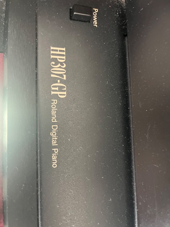 HP307-GP（ピアノ・楽器・PA機材）の商品画像 - 査定依頼日：2026年5月10日 - 最高査定価格：10,000円