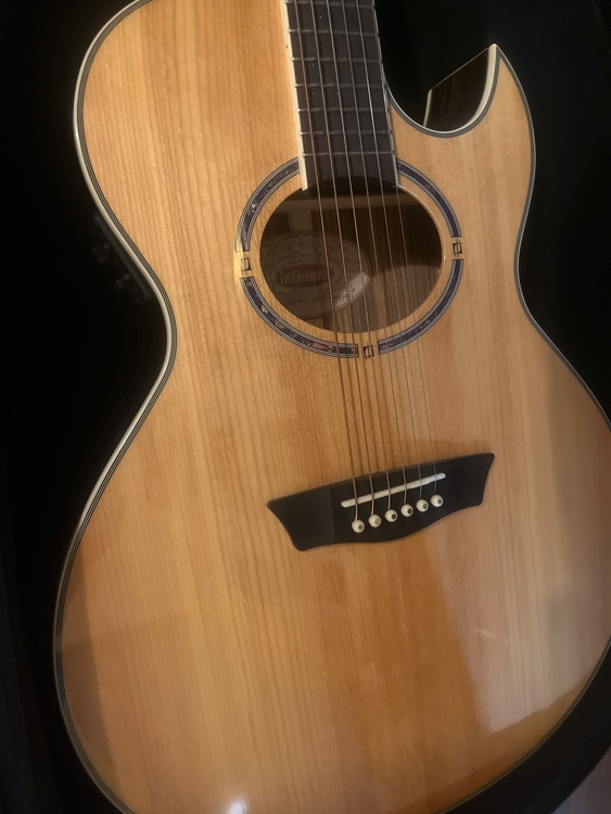 washburn（ピアノ・楽器・PA機材）の商品画像 - 査定依頼日：2026年4月17日 - 最高査定価格：20,000円