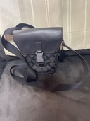 その他 コーチ （ブランドバッグ）の商品画像 - 査定依頼日：2025年6月19日 - 最高査定価格：6,000円