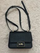 その他 コーチ （ブランドバッグ）の商品画像 - 査定依頼日：2024年10月23日 - 最高査定価格：3,000円