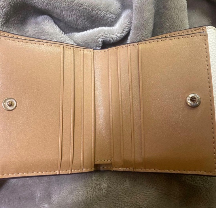 その他 コーチ （ブランドバッグ）の商品画像 - 査定依頼日：2025年10月19日 - 最高査定価格：2,000円