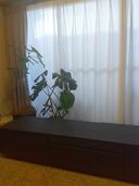 テレビボード（家具・寝具）の商品画像 - 査定依頼日：2025年8月27日 - 最高査定価格：4,000円