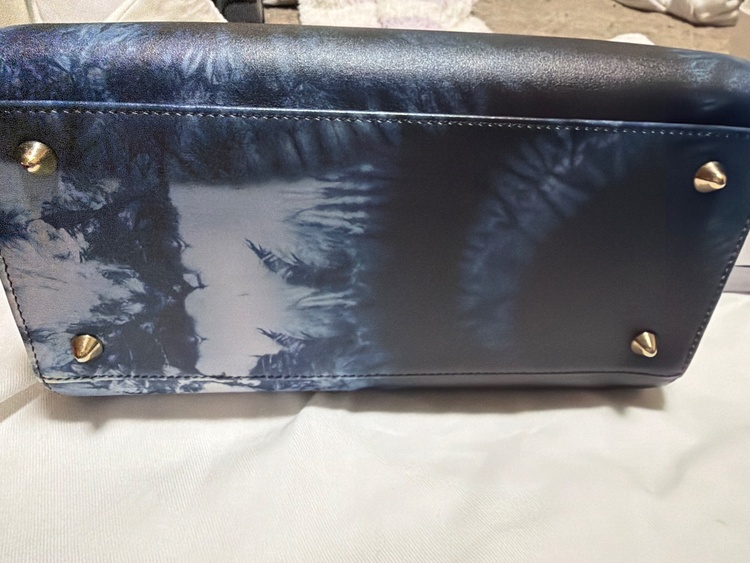 レディディオール（ブランドバッグ）の商品画像 - 査定依頼日：2026年3月19日 - 最高査定価格：250,000円