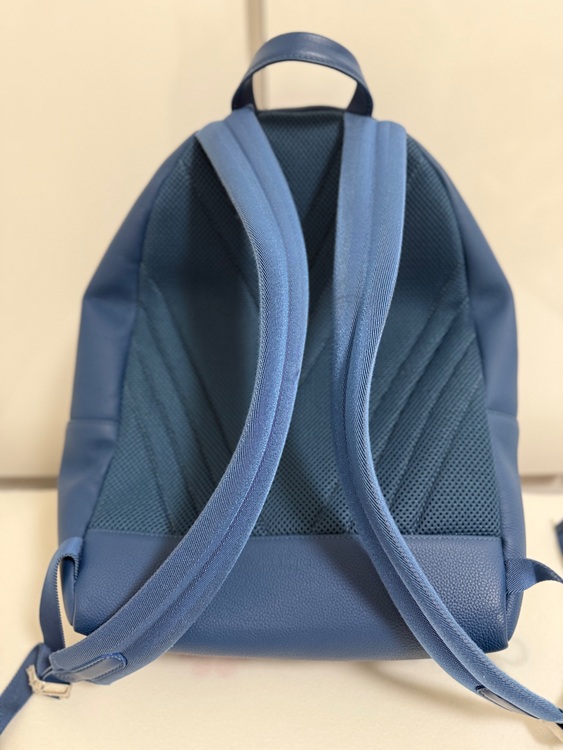 リュック（ブランドバッグ）の商品画像 - 査定依頼日：2025年10月13日 - 最高査定価格：230,000円