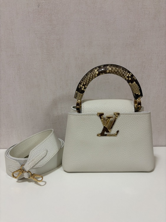 カプシーヌ　ミニ　N98477（ブランドバッグ）の商品画像 - 査定依頼日：2026年1月31日 - 最高査定価格：320,000円