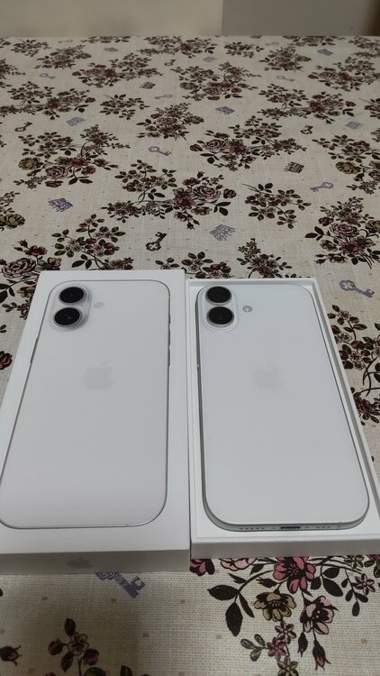 iPhone iPhone 17 256GB SIMフリー（スマホ）の商品画像 - 査定依頼日：2026年5月26日 - 最高査定価格：113,000円