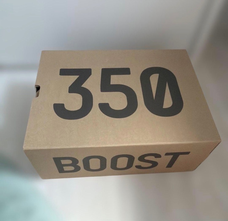 YEEZY BOOST 350 イーズリール V2（古着・ファッション）の商品画像 - 査定依頼日：2026年8月20日 - 最高査定価格：2,300円
