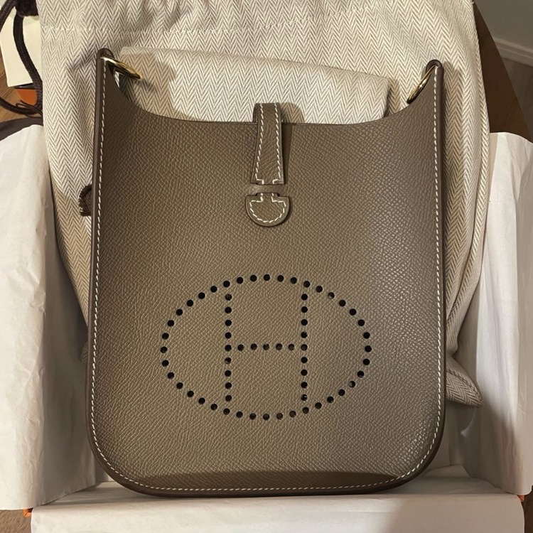 エヴリン / 16 / ミニ / TPM（ブランドバッグ）の商品画像 - 査定依頼日：2026年2月28日 - 最高査定価格：370,000円