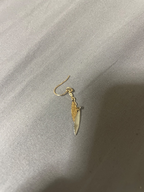 ピアス（金・貴金属）の商品画像 - 査定依頼日：2026年4月3日 - 最高査定価格：100,000円